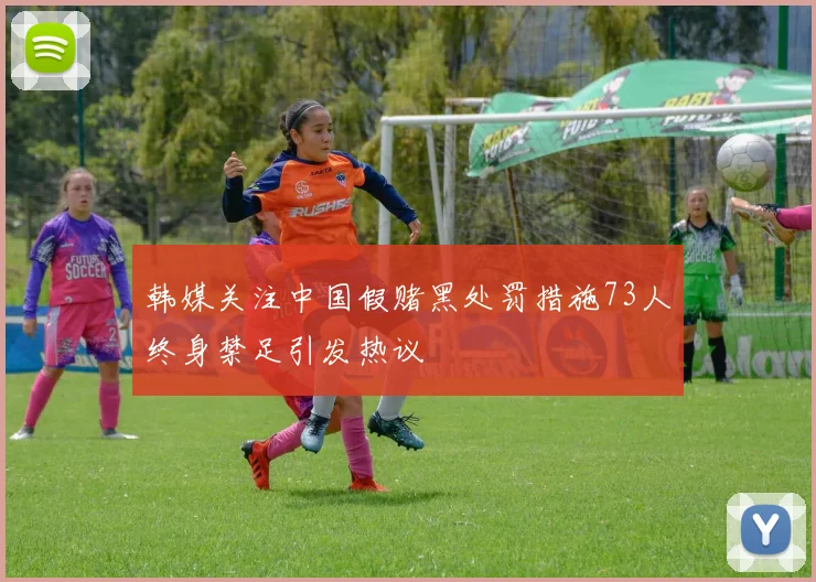 韩媒关注中国假赌黑处罚措施73人终身禁足引发热议